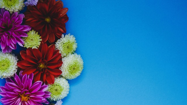 未能在老鹰 未能在老鹰