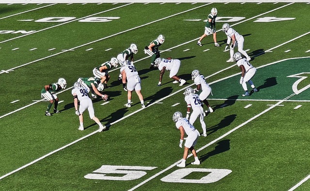 提供了保障 提供了保障