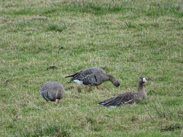 一句话形容 一句话形容