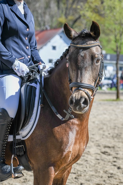 密国际以来 密国际以来