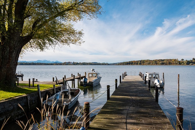 贡献了许多 贡献了许多