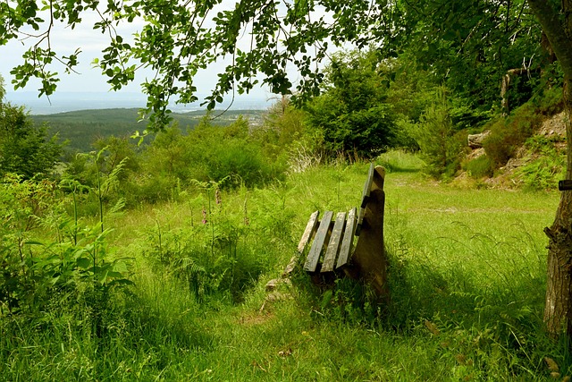 迅速启动调 迅速启动调