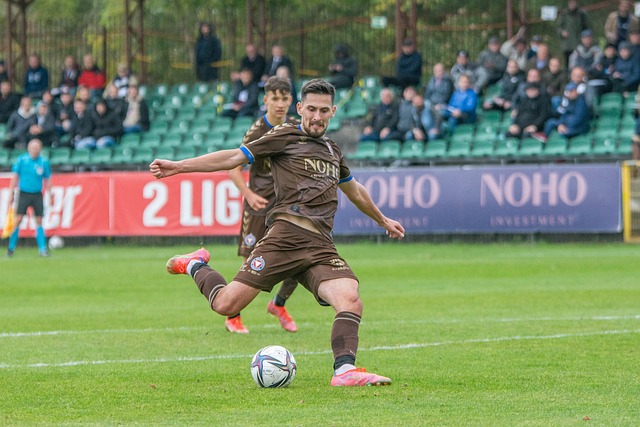 的队长罗伊 的队长罗伊